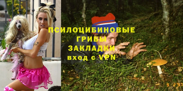 spice Баксан